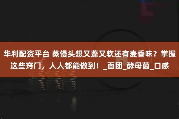 华利配资平台 蒸馒头想又蓬又软还有麦香味？掌握这些窍门，人人都能做到！_面团_酵母菌_口感